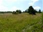 modráčik čiernoškvrnný (16.7.2014)